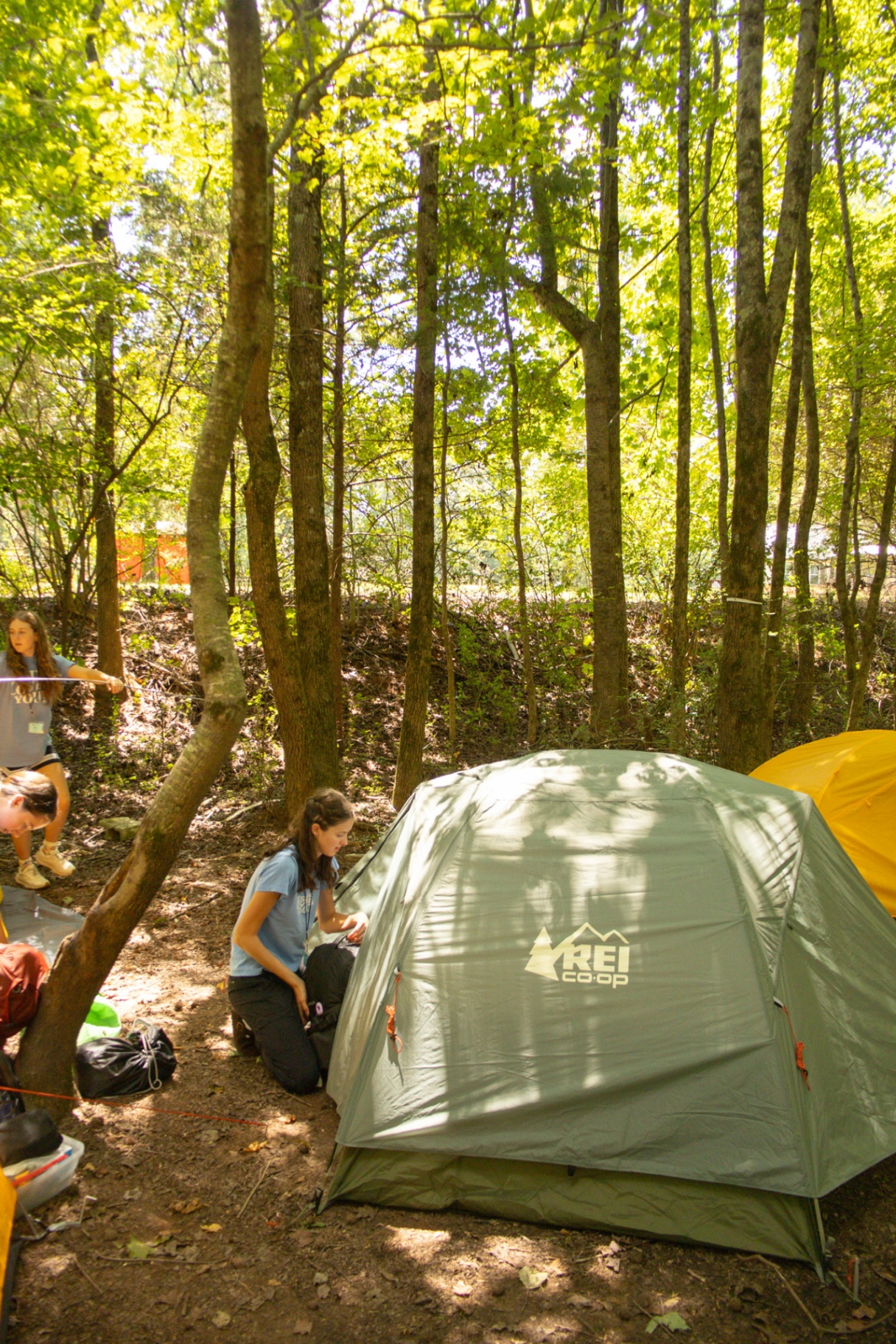 A racer pitching an REI tent under tall trees at training camp