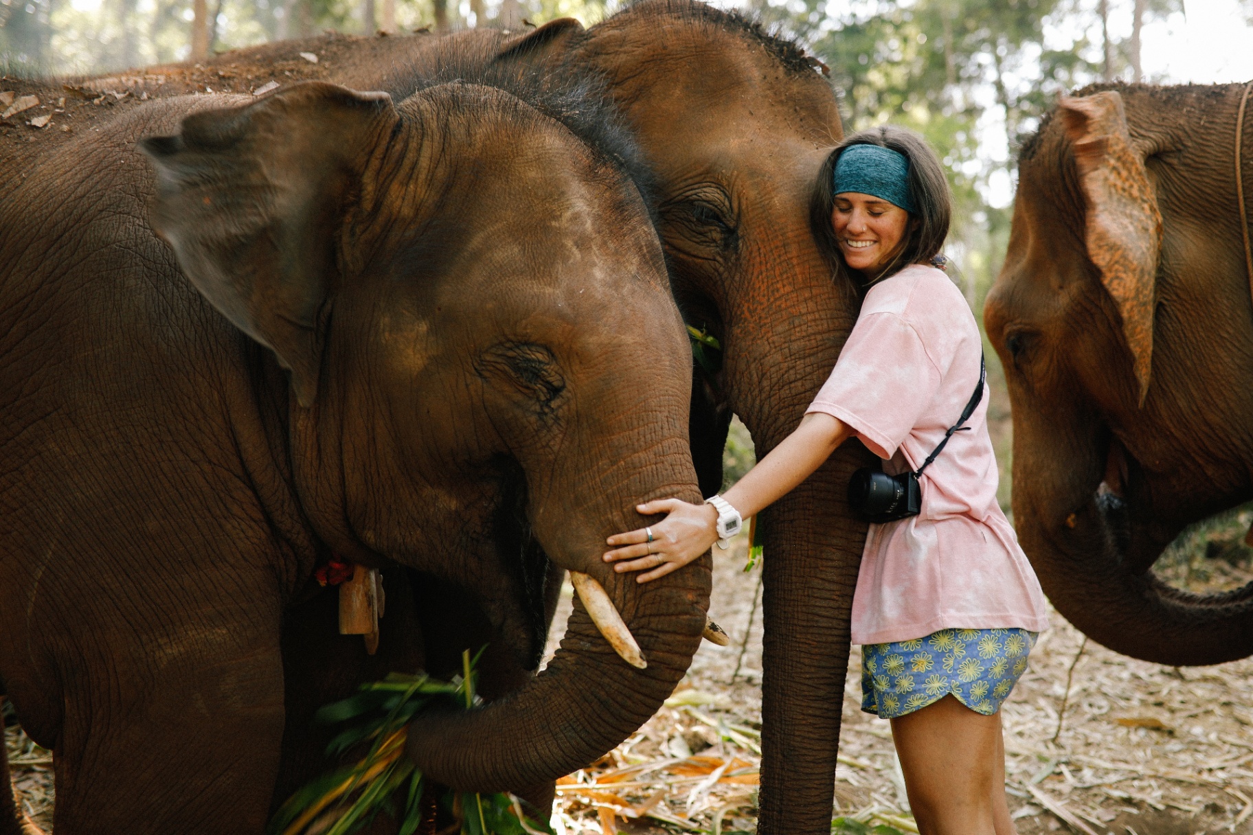 Racer hugging a rescued elephant in a Thai forest sanctuary